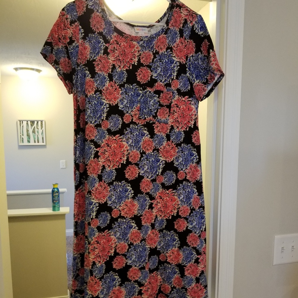 EUC LuLaRoe Medium Carly